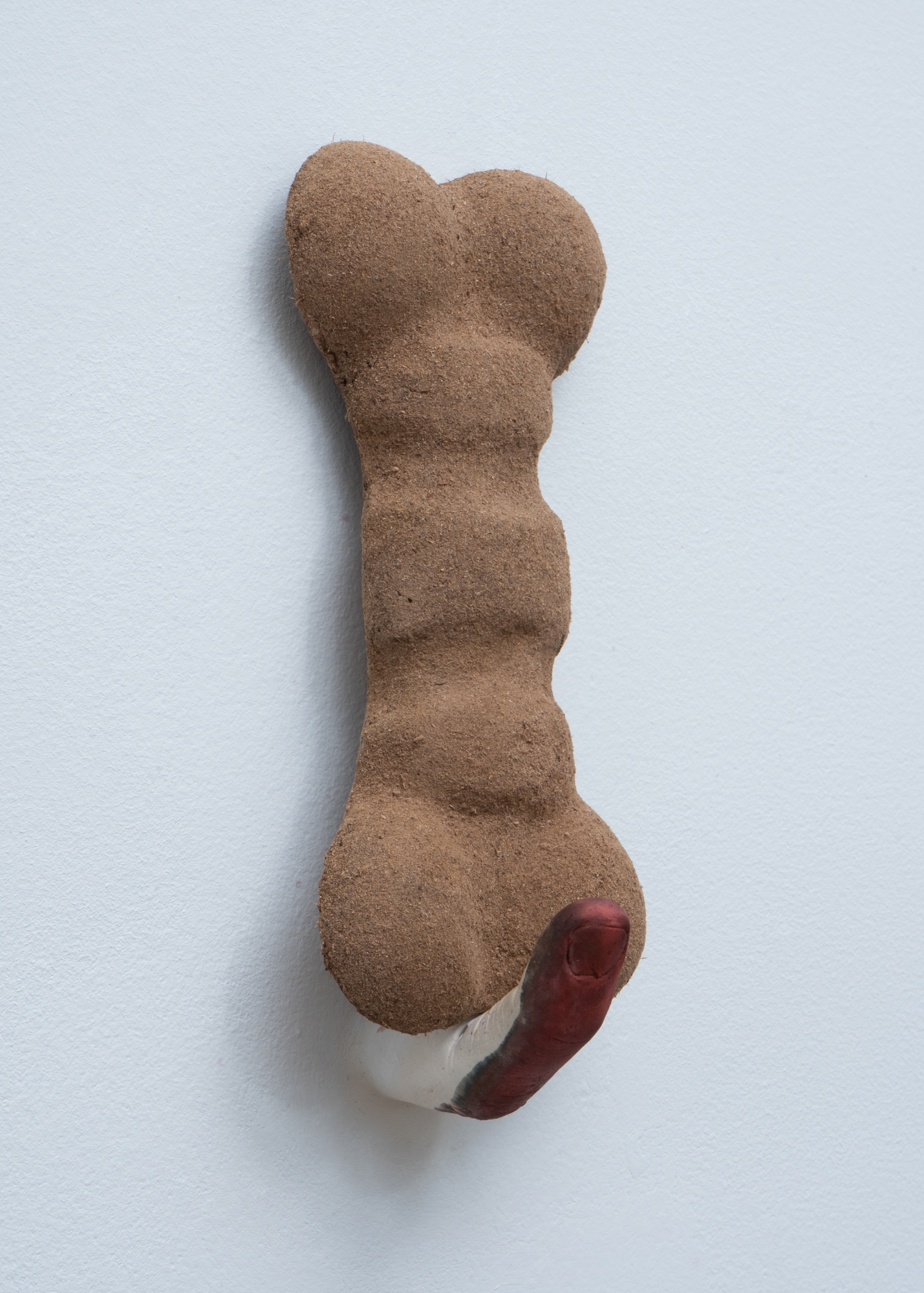 work by D Rosen. Dog bone and human finger