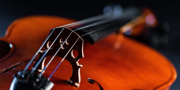 zoomed in image of violin against black background