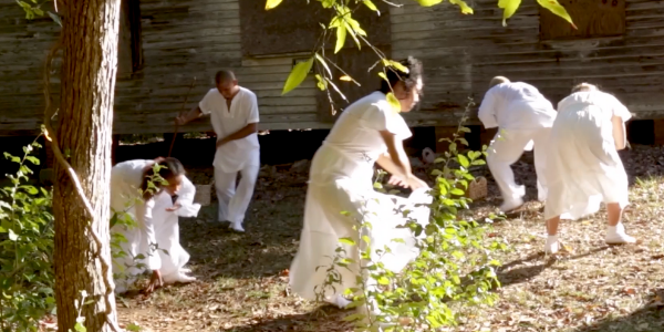 a tree in the left corner with students dancing in white around an old rural building