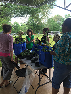 gardening workshop on MAX