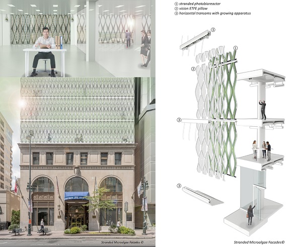 microalgae facade rendering