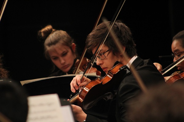 violin section of orchestra