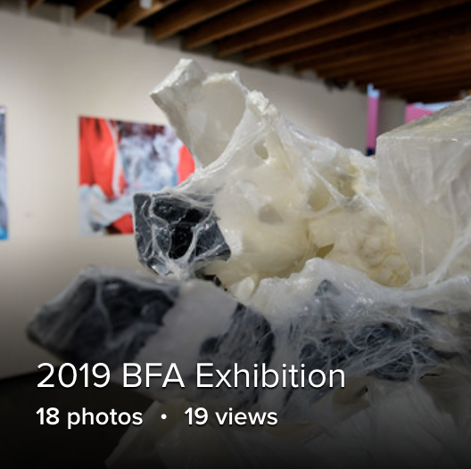 BFA Exhibition on Flikr